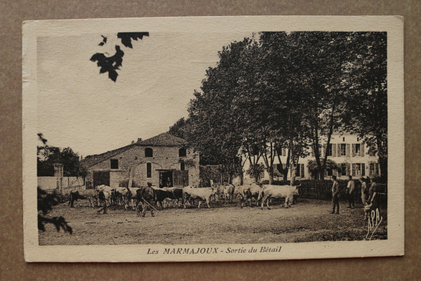 Ansichtskarte AK Marmajoux 1920-1940 Sortie du Betail Kühe Viehmarkt Bauernhof Gebäude Personen Ortsansicht Frankreich France 65 Hautes Pyrenées